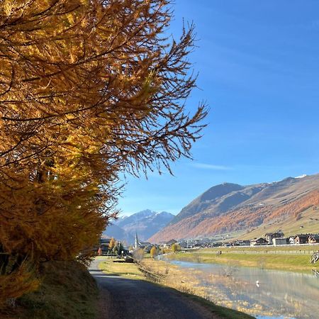 Chalet Shany Livigno Buitenkant foto